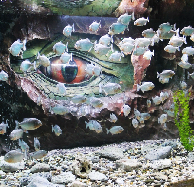 аквариум в евпатории цены