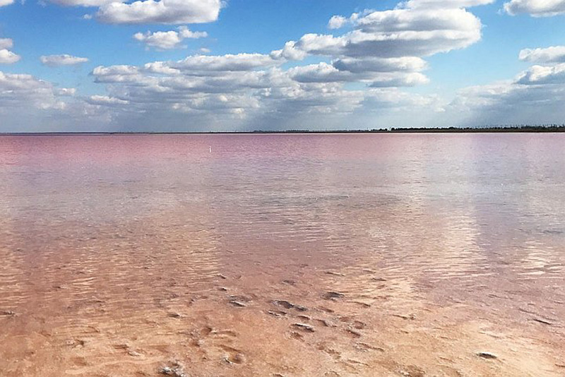 Розовое озеро Сасык Сиваш в Евпатории