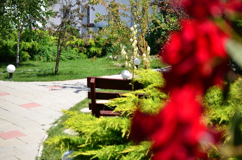 «Риф» в июне 2022 евпатория в июне