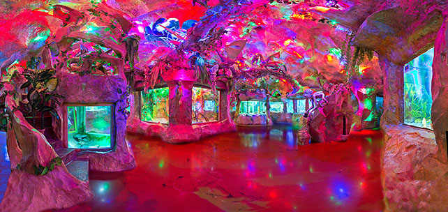 Аквариум евпатория фото