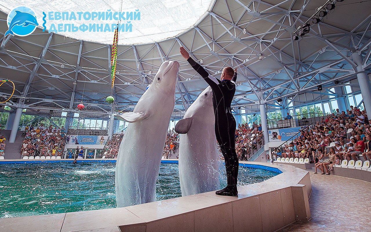 Куда сходить с ребенком в Евпатории